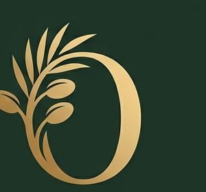 ORIZIN